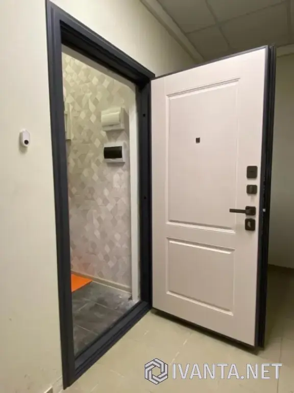 Входная дверь в квартиру