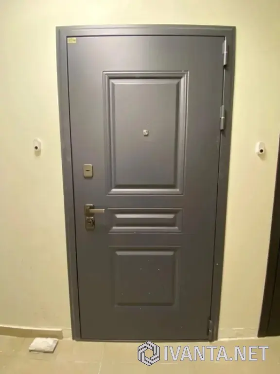 Входная дверь в квартиру