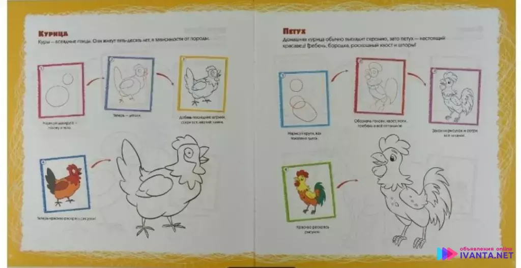 Развивающаяся книга. учимся рисовать