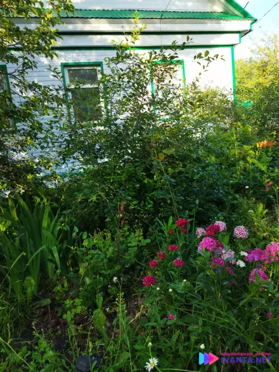 Дом + участок в с. Белое Озеро