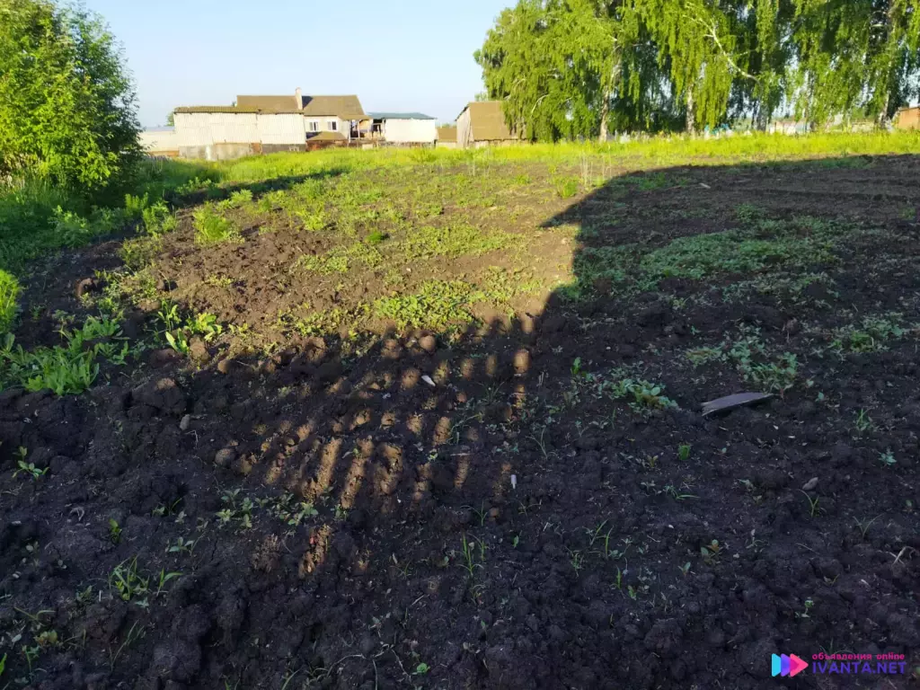 Дом + участок в с. Белое Озеро