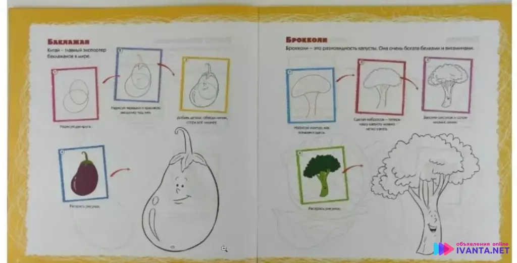 Развивающаяся книга. учимся рисовать