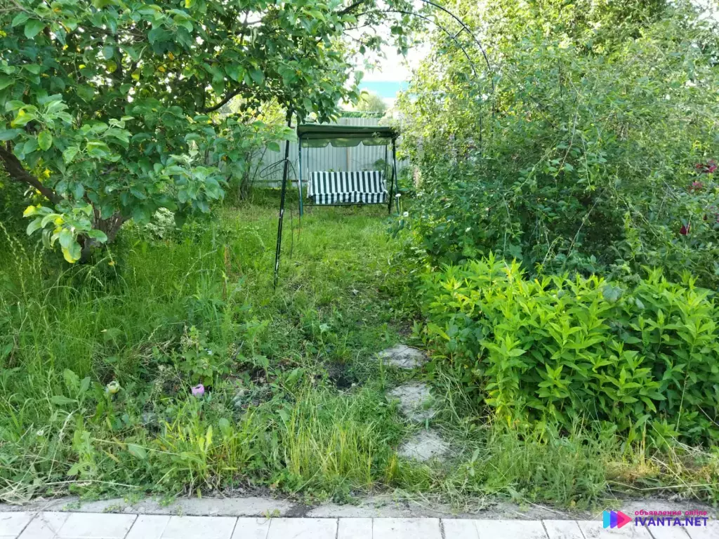 Дом + участок в с. Белое Озеро