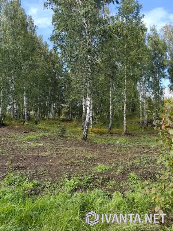 Производственная База 1,1 Га