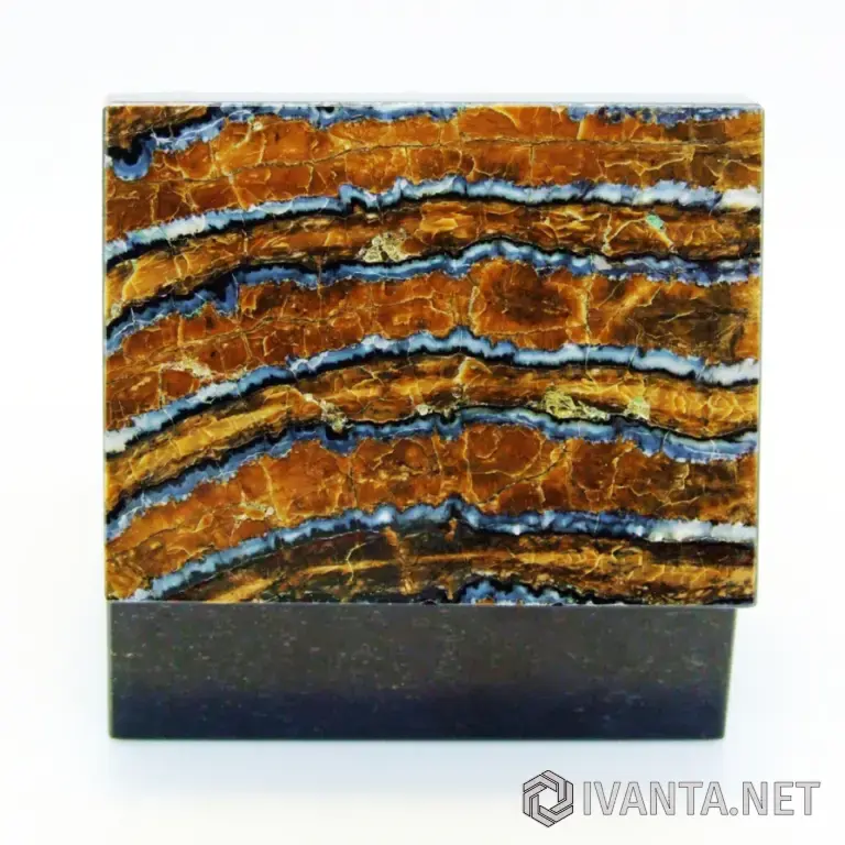 Зуб Мамонта - Коллекционная Шкатулка