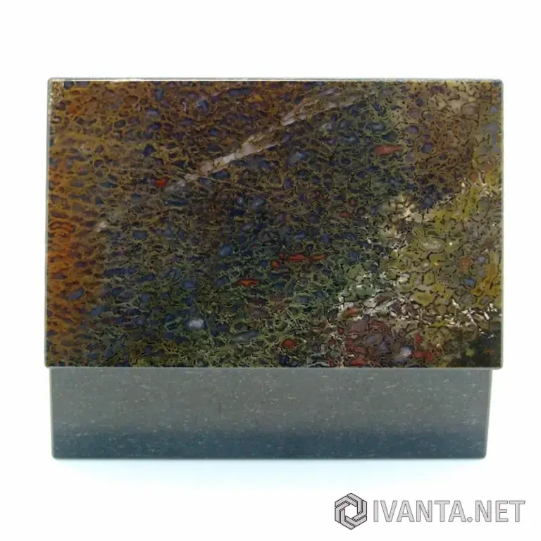 Динозавр - Коллекционная Шкатулка из окаменевшей кости - камня Динобон