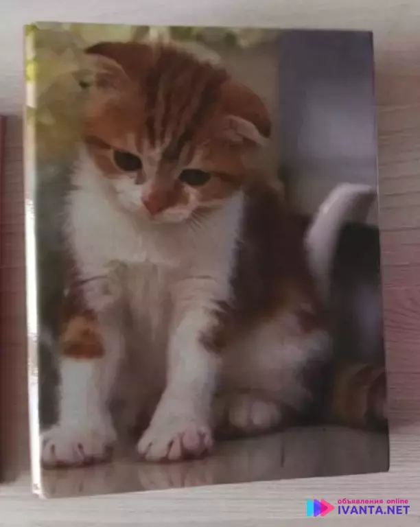 Фото альбом 10*15